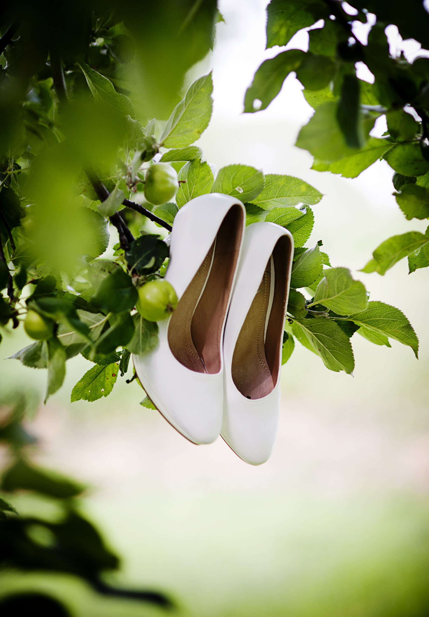 Photograph of a beautiful wedding shoes ready for bride